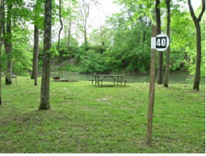 The lovely green getaway where peace & family fun can be all yours!